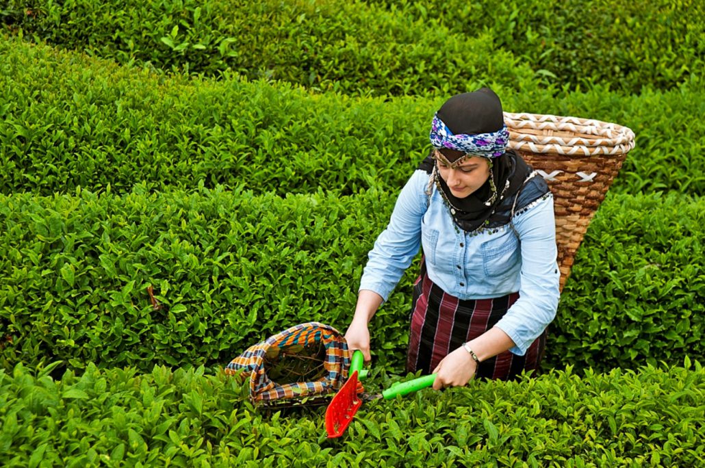 Traditional tea setting in Turkey